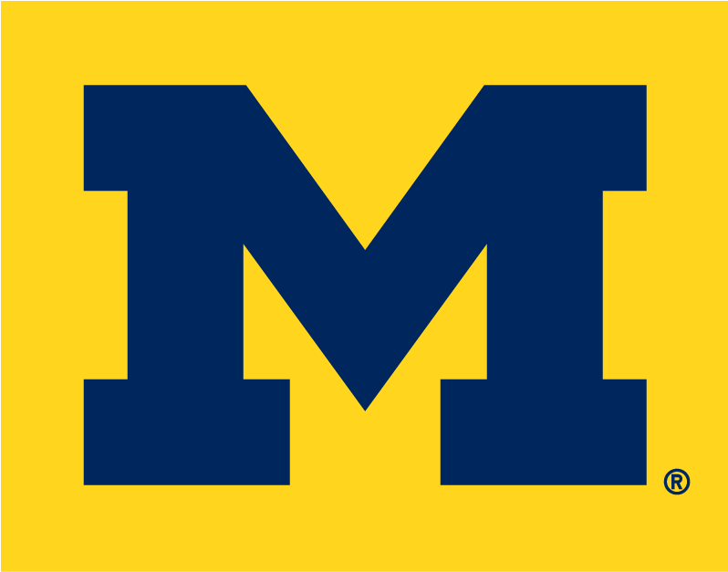 Michigan Wolverines 1996-Pres Alternate Logo v4 diy iron on heat transfer